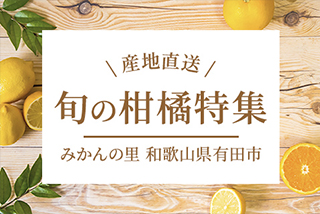 お中元ギフト特集