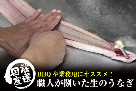 BBQにもおすすめ！捌いたうなぎ