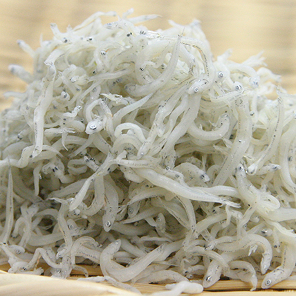 地元和歌山県【応援特集】