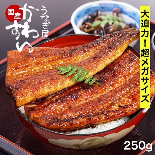 お一人様4本まで]国産超メガサイズうなぎ蒲焼き 250g×1本 山椒別売り