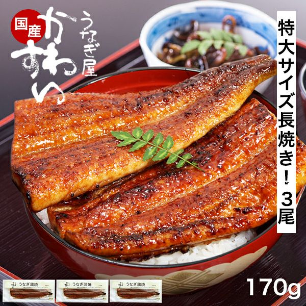 特大サイズの国産うなぎ蒲焼き170g×3本 | うなぎ屋かわすい 川口水産