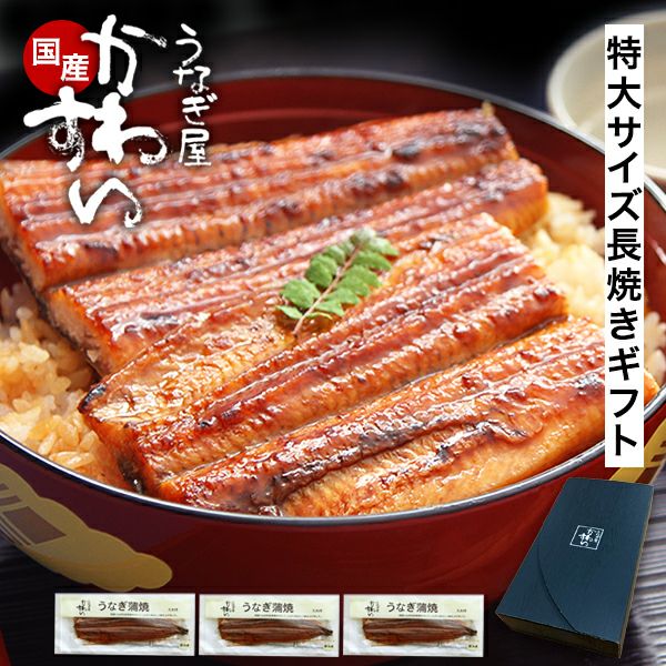 ギフトセット 国産特大うなぎ170g×3本セット | うなぎ屋かわすい 川口水産