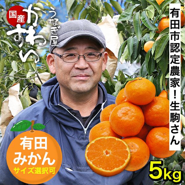 1月中旬以降発送]生駒さんの有田みかん 5キロ[有田みかん 和歌山 擦れ