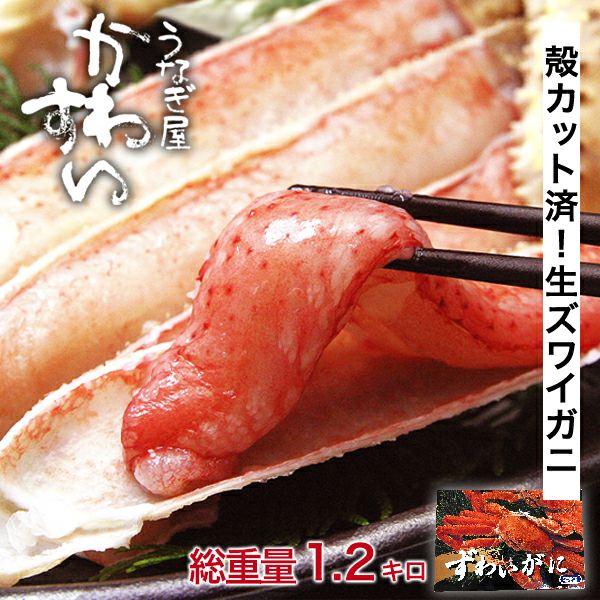 生ズワイ蟹1kg(総重量1.2kg)食べやすい殻カット済み[ズワイガニ かに