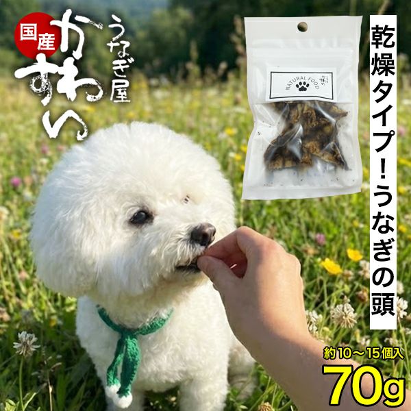 うなぎの頭 乾燥タイプ【メール便】【ウナギ 鰻 国産 国内産 関西