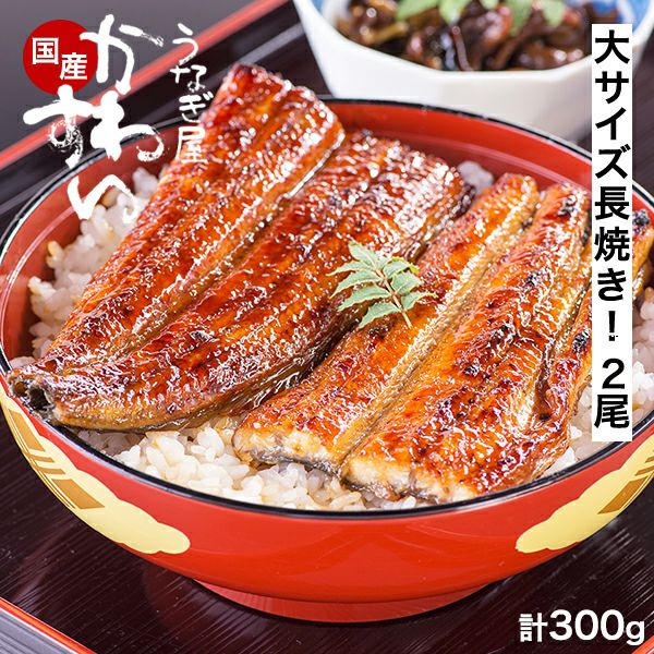 国産うなぎ長焼き 2尾入り(合計300g)セット ( 送料無料 鰻 ウナギ